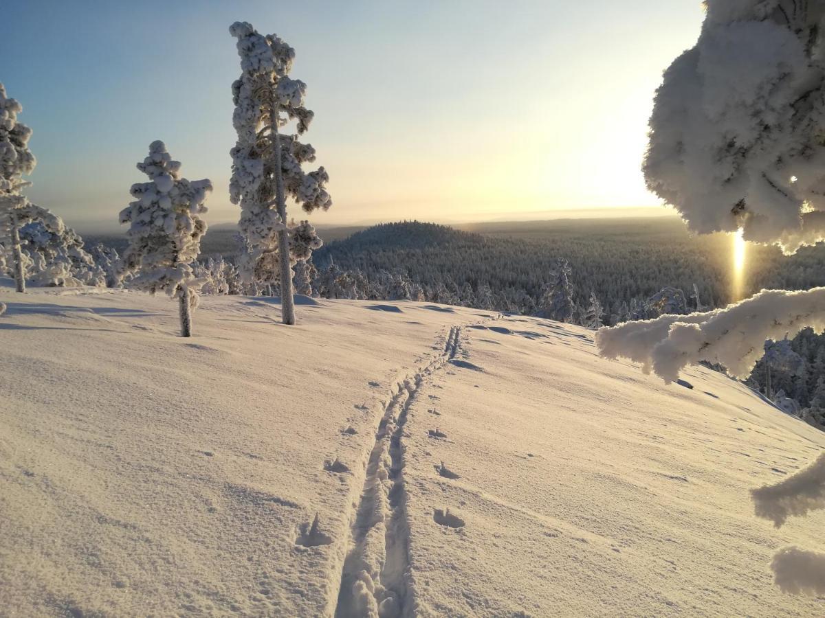 Raekkipirtti Villa Luosto Bagian luar foto