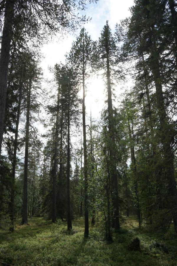 Raekkipirtti Villa Luosto Bagian luar foto